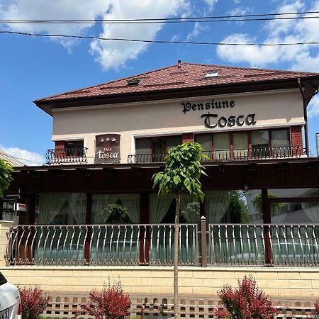 Pensiune Turistica Tosca Bacău Exterior foto